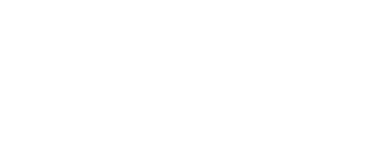 logo-02