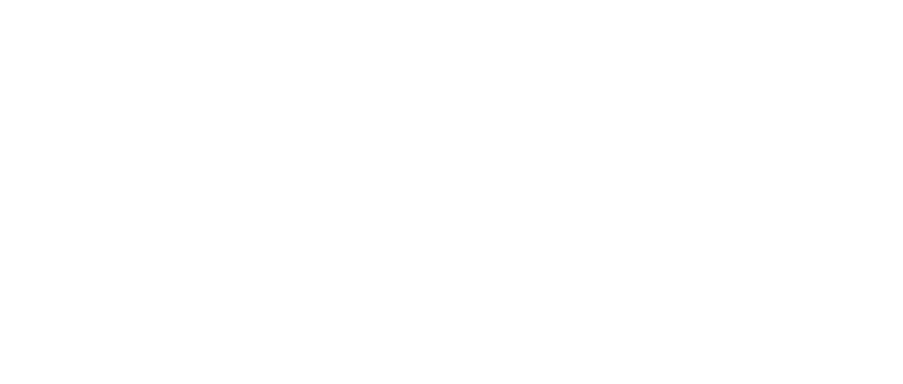 logo-04