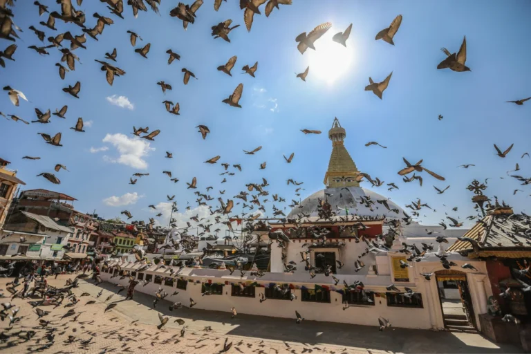 Kathmandu, Nepal: City of Ancient Temples and Prayer Wheels 4 Boudhanath Stupa in Kathmandu, Nepal, surrounded by pigeons in flight under a bright blue sky