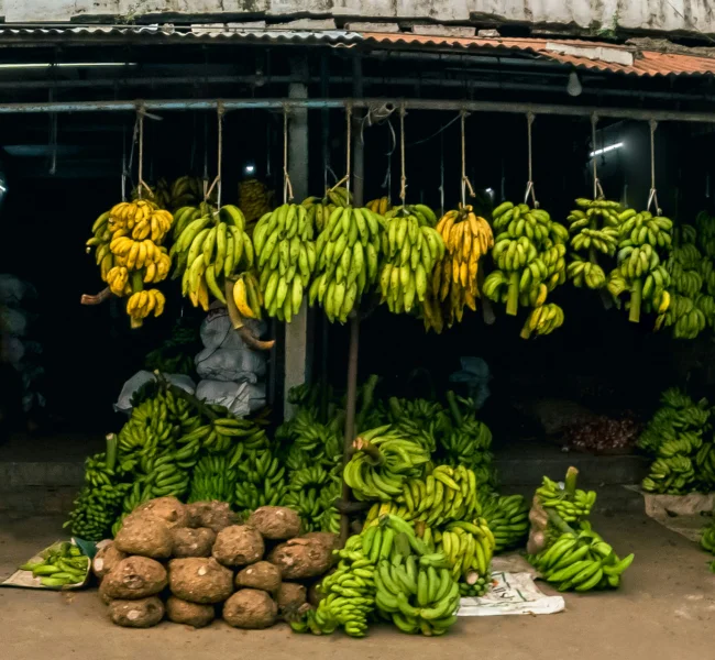 sleeba thomas tvU5PVUBKrE unsplash 1