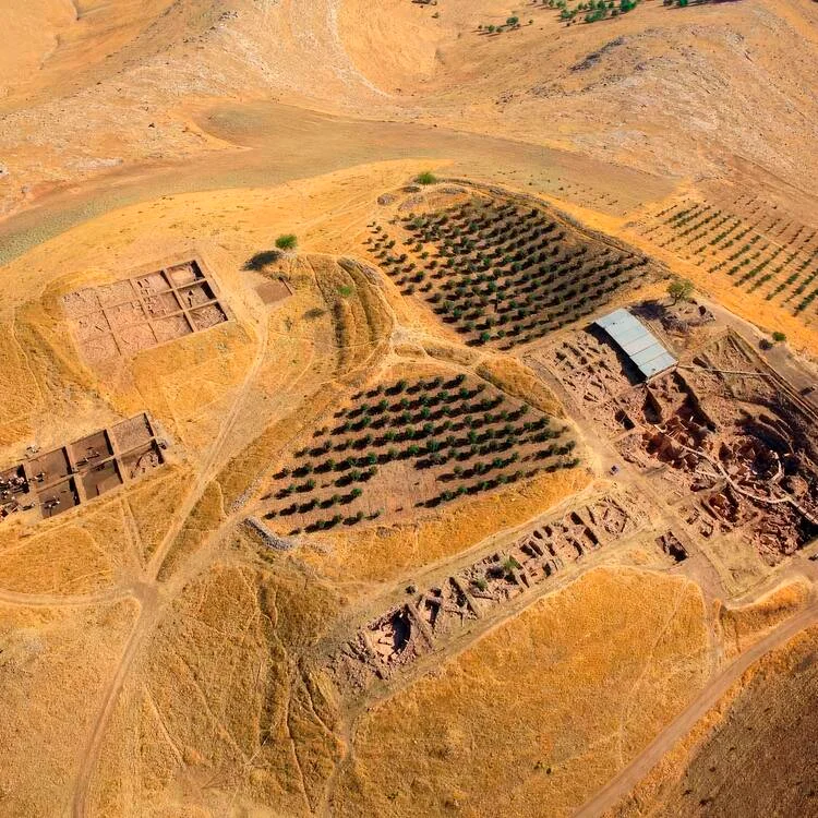 A panoramic view of Göbekli Tepe, Turkey the ancient archaeological site in Turkey, featuring intricately carved T-shaped stone pillars dating back over 11,000 years, set against a rugged landscape, symbolizing one of humanity's earliest known temples