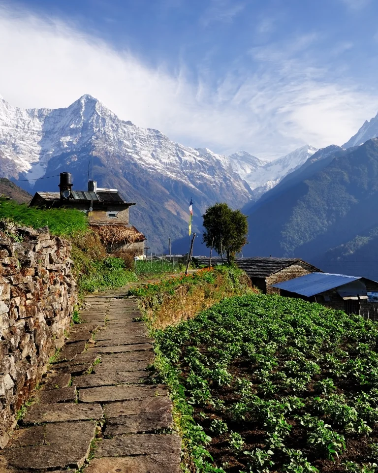 Pokhara, Nepal; The Pulse of Annapurna Region Trekking 2 Misty morning view of Pokhara's dense forest blending with the foothills of the Himalayas.