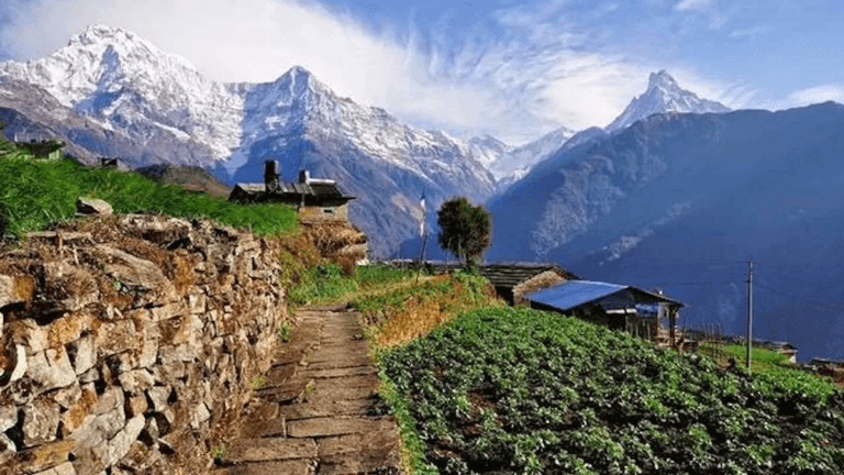 Dhampus, The Premier Trekking Spot of Annapurna 3 Nepal Annapurna Trekking spiritual tour