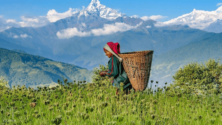Dhampus, The Premier Trekking Spot of Annapurna 1 Nepal Annapurna Trekking spiritual tour